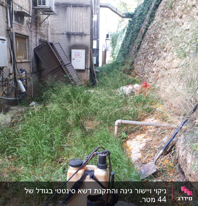 כלי ריסוס ומעדר בגינה עם עשבים גבוהים